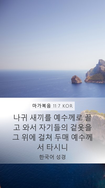 마가복음 11:7 KOR Mobile Phone Wallpaper - 나귀 새끼를 예수께로 끌고 와서 - Mobile Bible Verse Wallpaper