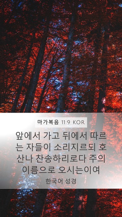 마가복음 11:9 KOR Bible Verse Image