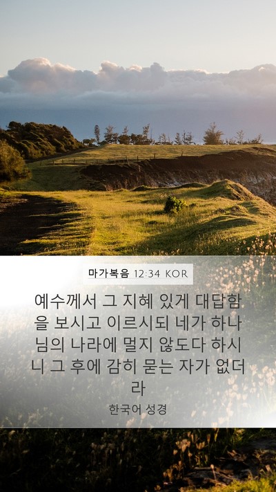 마가복음 12:34 KOR Bible Verse Image
