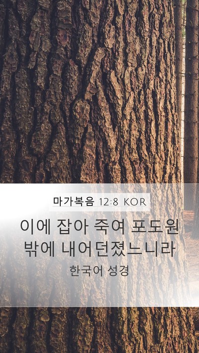 마가복음 12:8 KOR Mobile Phone Wallpaper - 이에 잡아 죽여 포도원 밖에 - Mobile Bible Verse Wallpaper