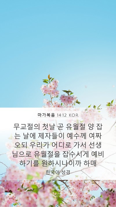 마가복음 14:12 KOR Bible Verse Image