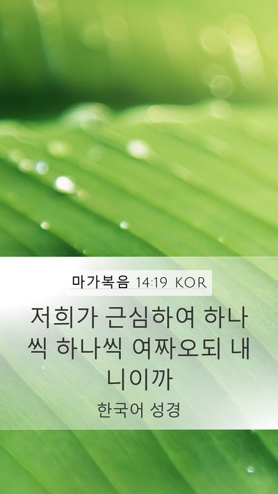 마가복음 14:19 KOR Bible Verse Image