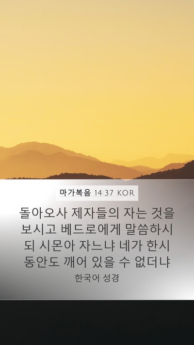 마가복음 14:37 KOR Bible Verse Image