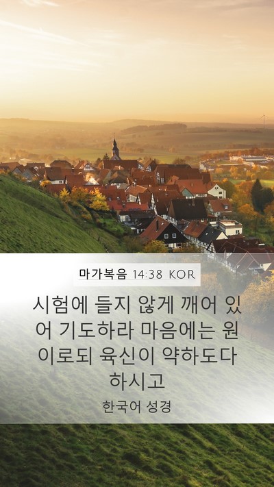 마가복음 14:38 KOR Bible Verse Image