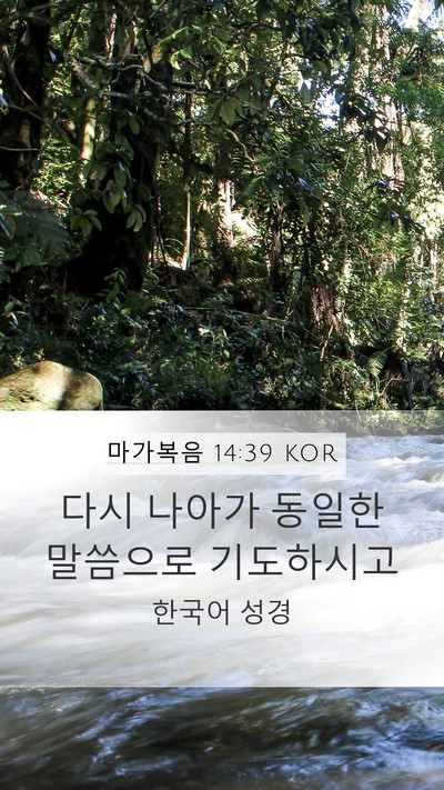 마가복음 14:39 KOR Bible Verse Image