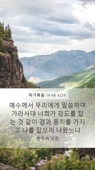 마가복음 14:48 KOR Bible Verse Image