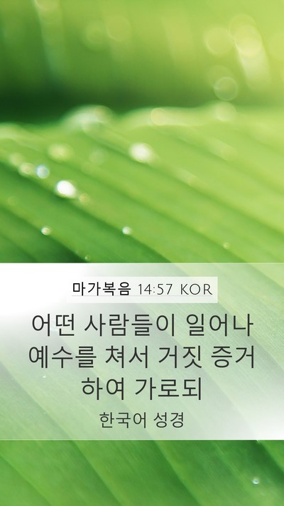 마가복음 14:57 KOR Bible Verse Image