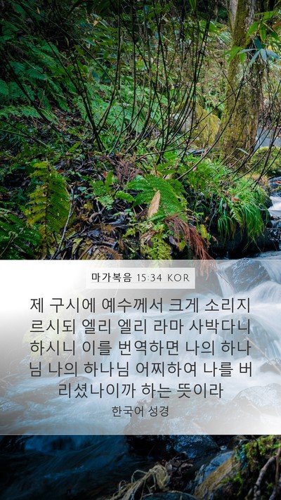 마가복음 15:34 KOR Bible Verse Image