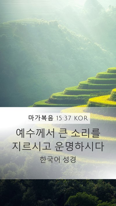 마가복음 15:37 KOR Bible Verse Image