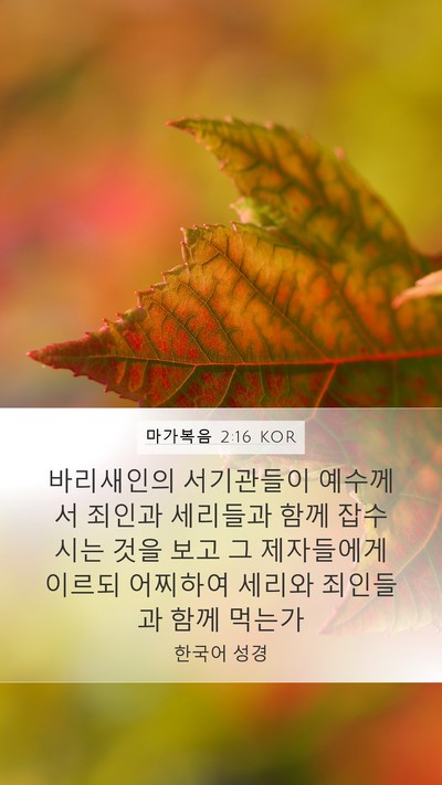 마가복음 2:16 KOR Bible Verse Image