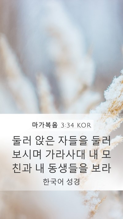 마가복음 3:34 KOR Bible Verse Image