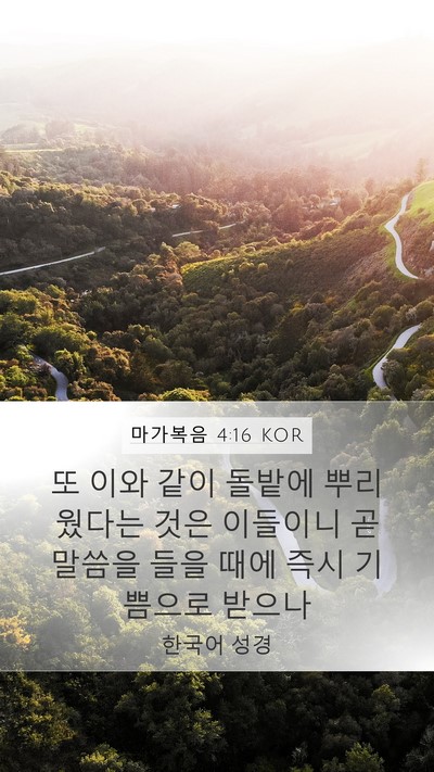 마가복음 4:16 KOR Bible Verse Image