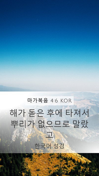 마가복음 4:6 KOR Bible Verse Image