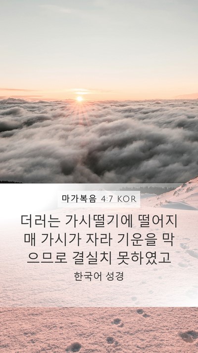 마가복음 4:7 KOR Mobile Phone Wallpaper - 더러는 가시떨기에 떨어지매 가시가 - Mobile Bible Verse Wallpaper