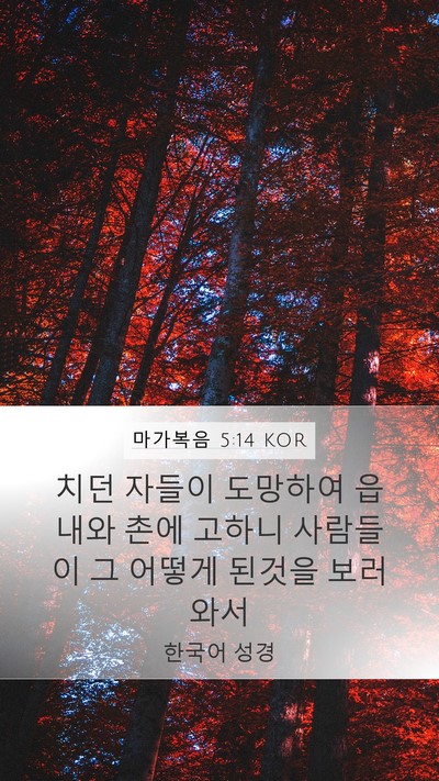마가복음 5:14 KOR Bible Verse Image