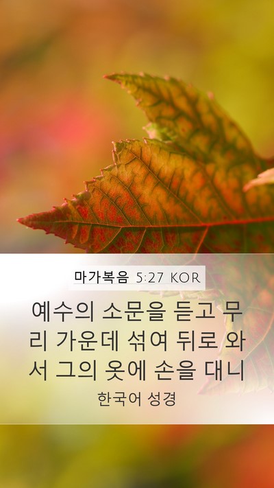 마가복음 5:27 KOR Bible Verse Image