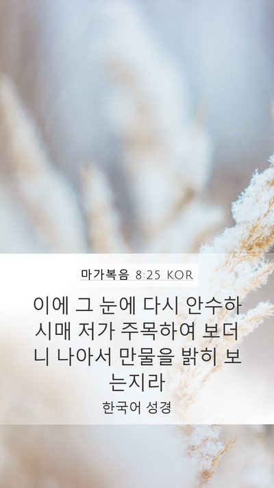 마가복음 8:25 KOR Bible Verse Image