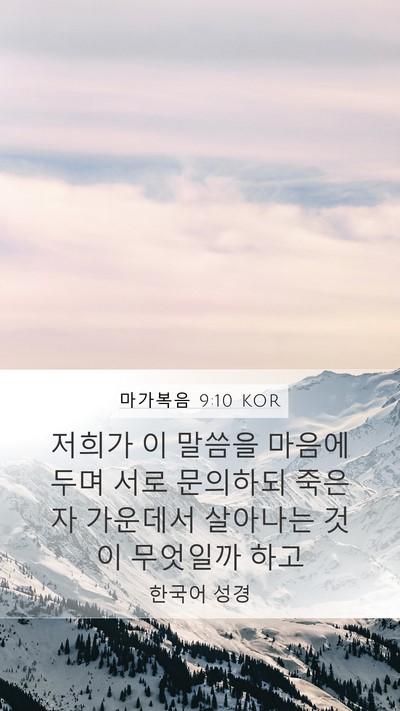 마가복음 9:10 KOR Bible Verse Image