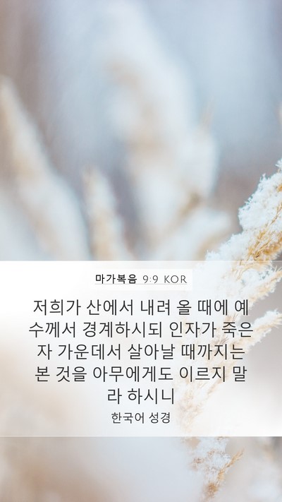 마가복음 9:9 KOR Bible Verse Image