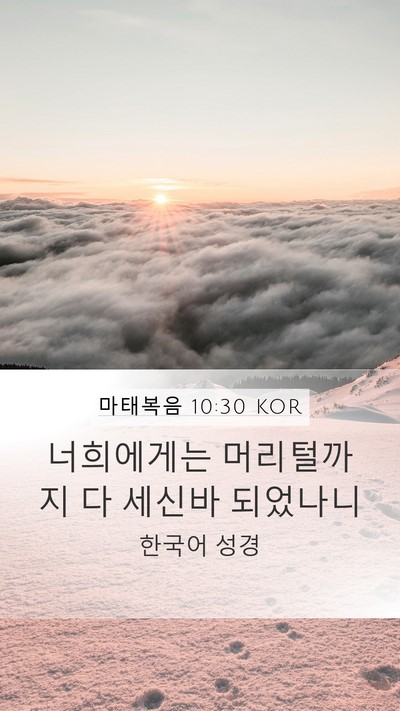 마태복음 10:30 KOR Bible Verse Image