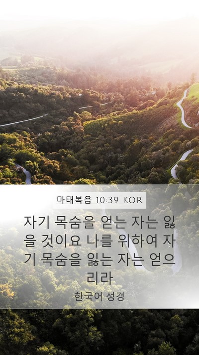 마태복음 10:39 KOR Bible Verse Image