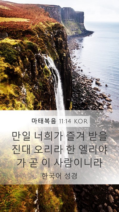 마태복음 11:14 KOR Bible Verse Image
