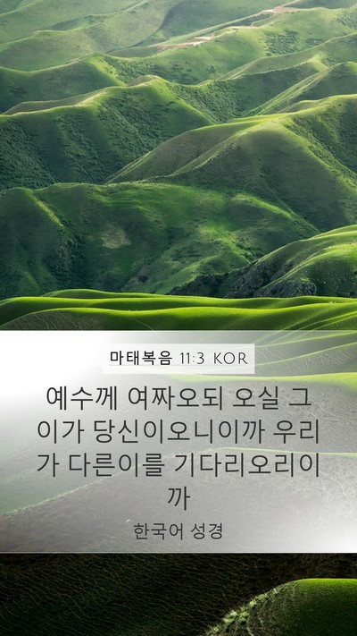 마태복음 11:3 KOR Bible Verse Image