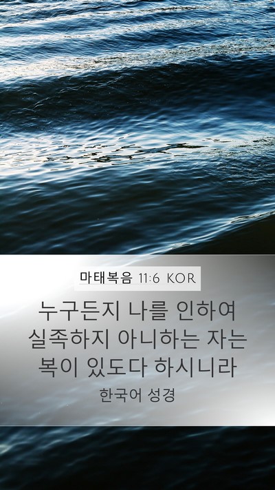 마태복음 11:6 KOR Bible Verse Image