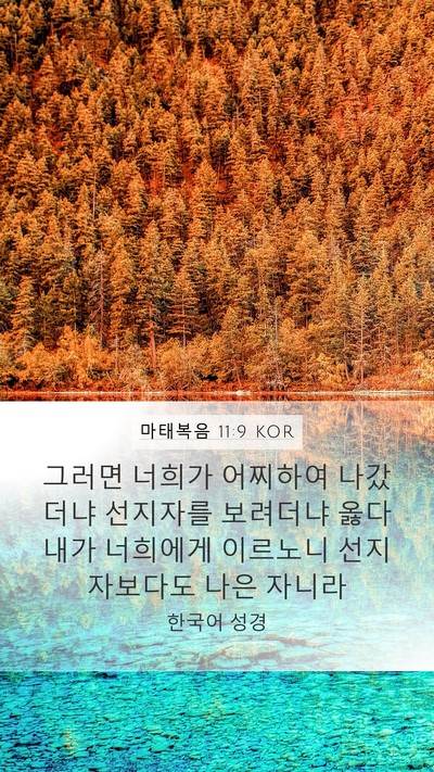 마태복음 11:9 KOR Bible Verse Image