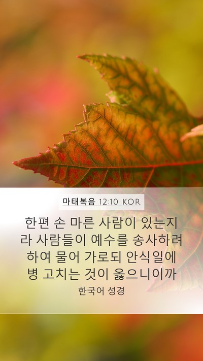 마태복음 12:10 KOR Bible Verse Image