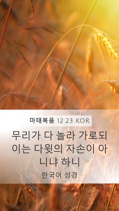 마태복음 12:23 KOR Bible Verse Image