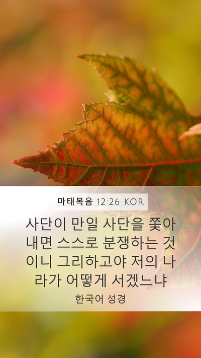 마태복음 12:26 KOR Mobile Phone Wallpaper - 사단이 만일 사단을 쫓아내면 스스로 - Mobile Bible Verse Wallpaper