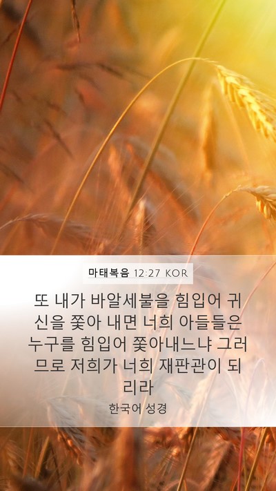 마태복음 12:27 KOR Bible Verse Image