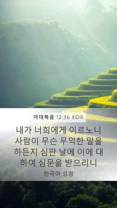 마태복음 12:36 KOR Bible Verse Image