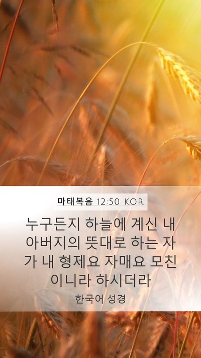 마태복음 12:50 KOR Bible Verse Image
