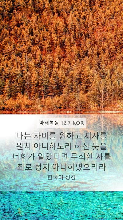 마태복음 12:7 KOR Mobile Phone Wallpaper - 나는 자비를 원하고 제사를 원치 - Mobile Bible Verse Wallpaper