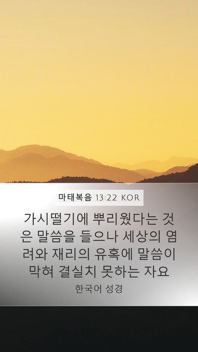 마태복음 13:22 KOR Bible Verse Image