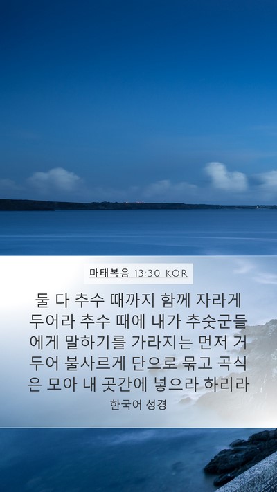 마태복음 13:30 KOR Bible Verse Image