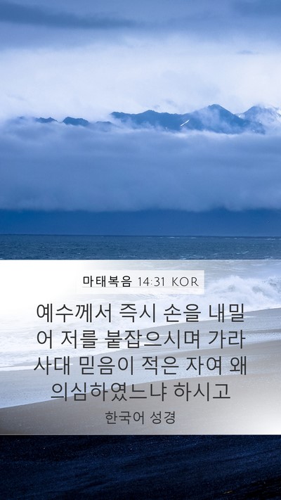 마태복음 14:31 KOR Bible Verse Image