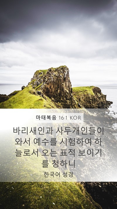 마태복음 16:1 KOR Mobile Phone Wallpaper - 바리새인과 사두개인들이 와서 - Mobile Bible Verse Wallpaper
