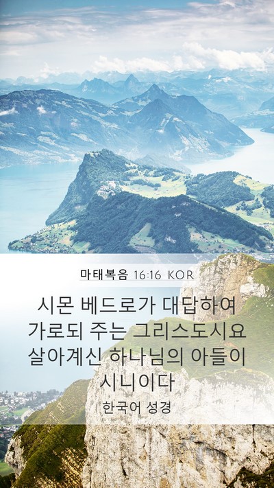 마태복음 16:16 KOR Bible Verse Image