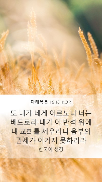 마태복음 16:18 KOR Bible Verse Image