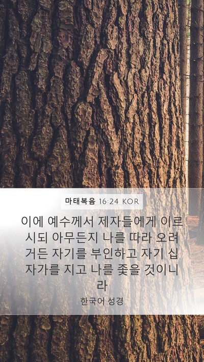 마태복음 16:24 KOR Bible Verse Image