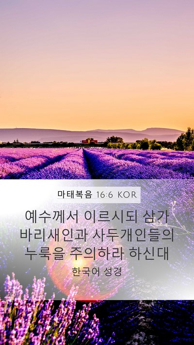 마태복음 16:6 KOR Bible Verse Image