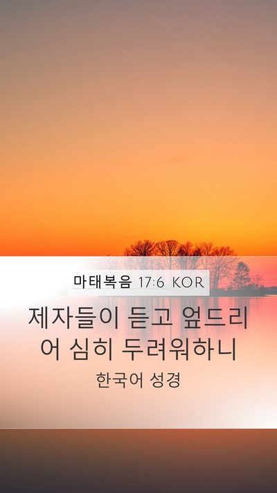 마태복음 17:6 KOR Bible Verse Image