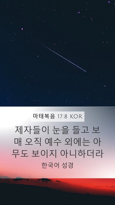 마태복음 17:8 KOR Bible Verse Image