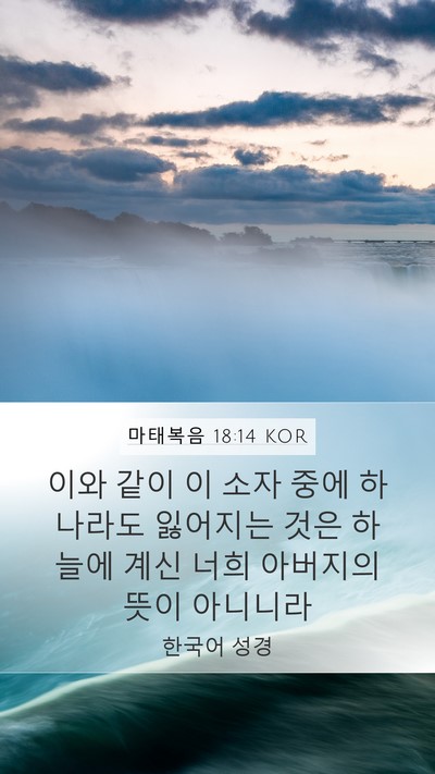 마태복음 18:14 KOR Bible Verse Image