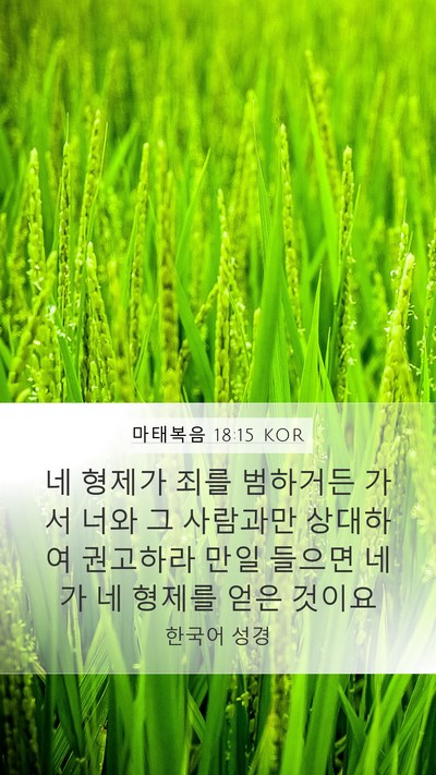 마태복음 18:15 KOR Bible Verse Image