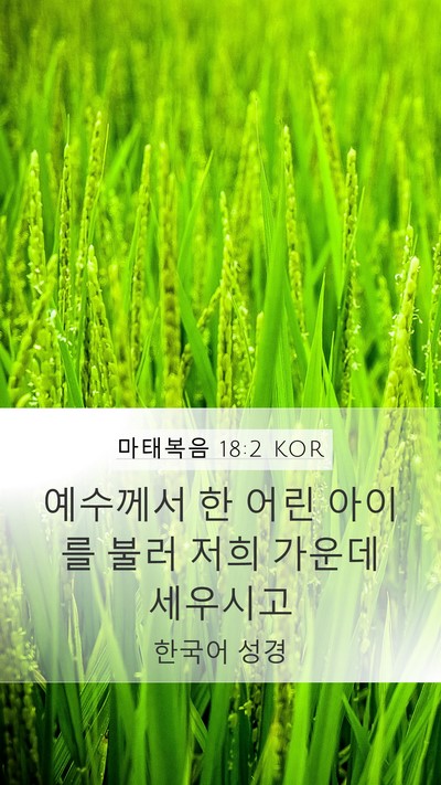 마태복음 18:2 KOR Mobile Phone Wallpaper - 예수께서 한 어린 아이를 불러 저희 - Mobile Bible Verse Wallpaper