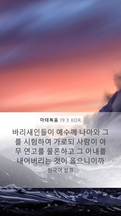 마태복음 19:3 KOR Bible Verse Image